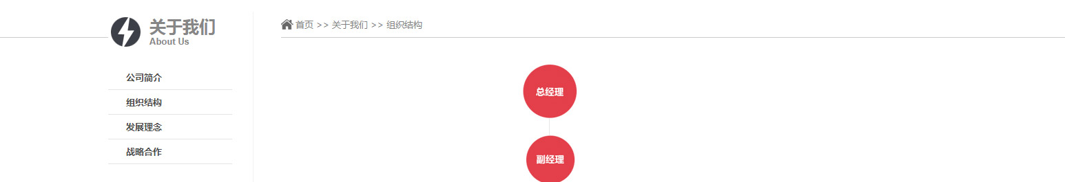集团网站