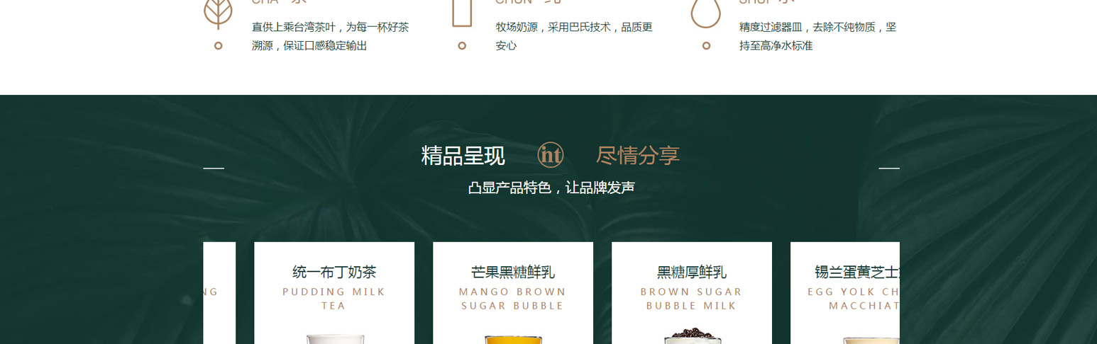 H5网站