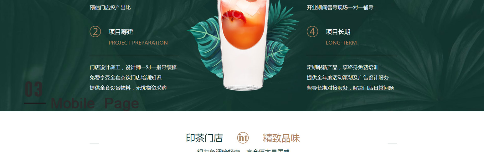 H5网站